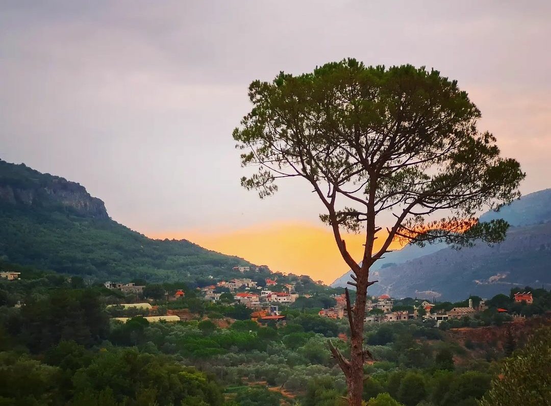 Photo credit @ameen.boughanem 

#liveloveramliyeh #livelovenature #lebanon #livelovelebanon #lebanonnature #mountlebanon #ramlieh #ramliyeh #ramliehhostel