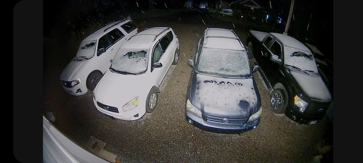 Quite the weather change! Dogs woke me up at 5 am needing out. Didn't take them long. LOL