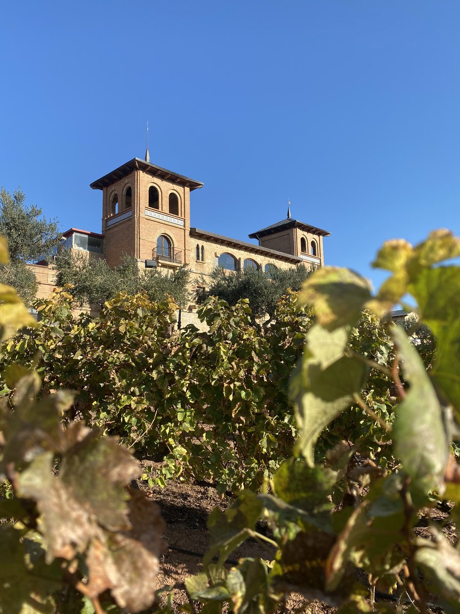 ¡Os esperamos hoy en nuestro restaurante desde las 13:30 hasta las 15:30, para disfrutar de nuestro menú degustación acompañado de nuestros mejores vinos!🍷
📱 685 09 71 49
📧 restaurante@monjardin.es