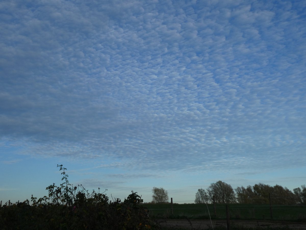 DrNiemitz's tweet photo. Groß ansehen! Wolken, immer wieder faszinierend. Allen einen schönen Sonntag! 😎
Enlarge! Clouds are fascinating again and again. Have a lovely sunday everyone! 🦋
#cloud #Wolken #NaturePhotography #naturelovers https://t.co/YyTIfu4Nbj