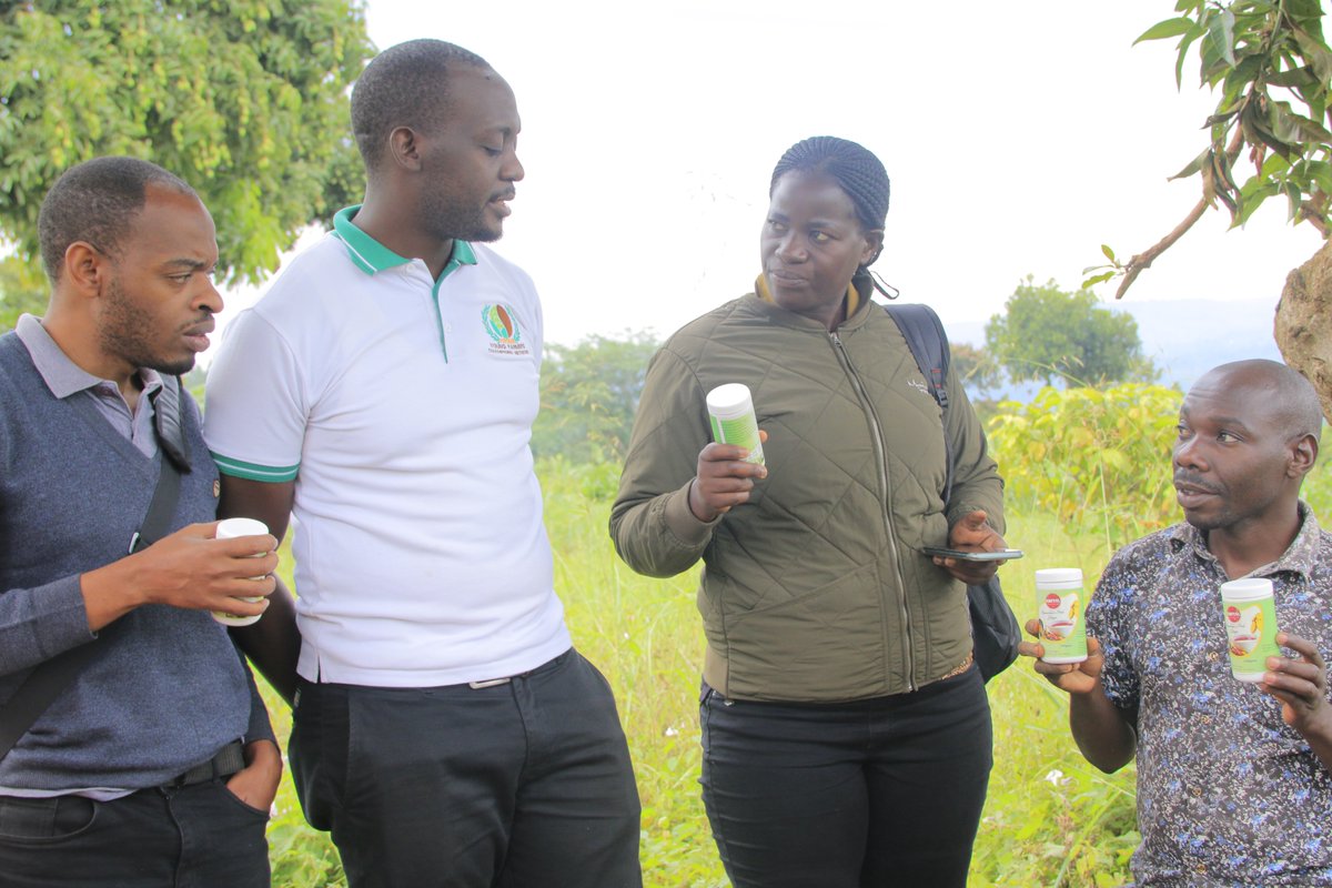 yofchan's tweet image. Ginger, a cash cow for the people of #butambala and the neighbouring districts. Find here our champion #RuthNakate who is making a killing out of ginger farming. She is adding value to the product and is employing over 30 youth. #YOFCHAN #PoweringTheNextGenerationAgripreneurs