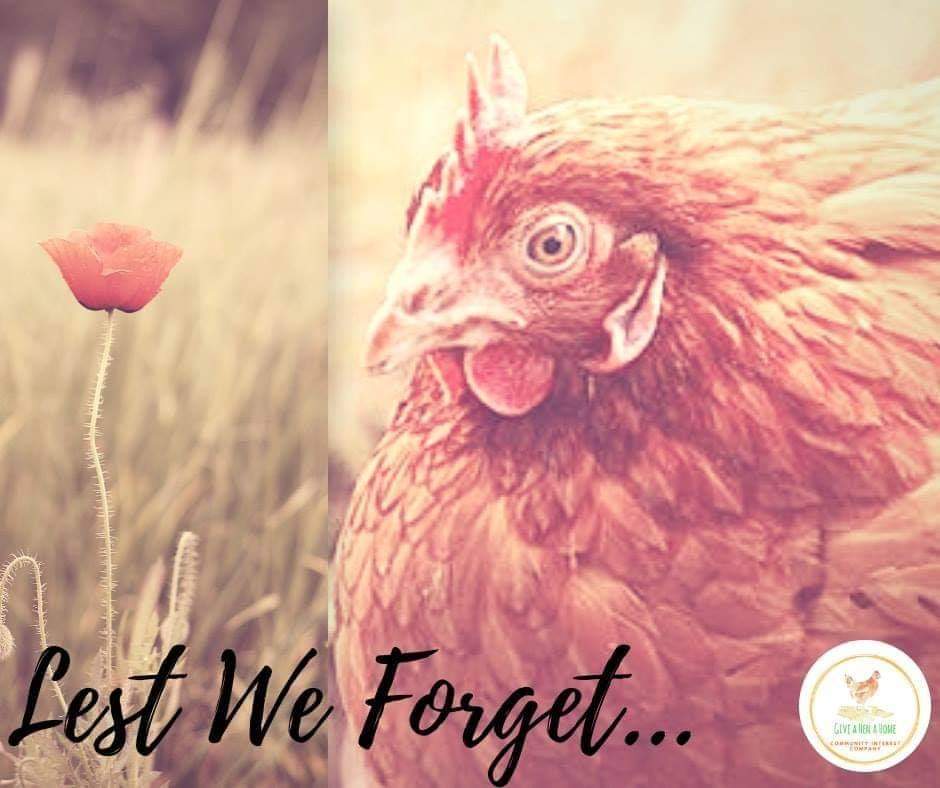 #LestWeForget #rememberancesunday #Remembrance