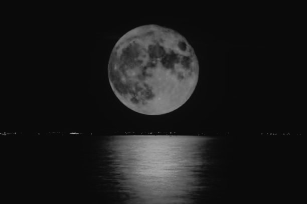 makikmbgdr's tweet photo. ᅠ
ᅠᅠᅠᅠᅠᅠᅠᅠᅠᅠᅠᅠᅠᅠᅠᅠᅠᅠᅠᅠ
ᅠ             — ᏦᏆᏞᏞᏢᏫᏢ
ᅠᅠᅠᅠᅠᅠᅠᅠᅠᅠᅠᅠᅠᅠᅠᅠᅠᅠᅠᅠᅠᅠᅠᅠᅠᅠᅠᅠᅠᅠᅠᅠᅠᅠᅠᅠᅠᅠᅠᅠ https://t.co/psBFReSFtZ