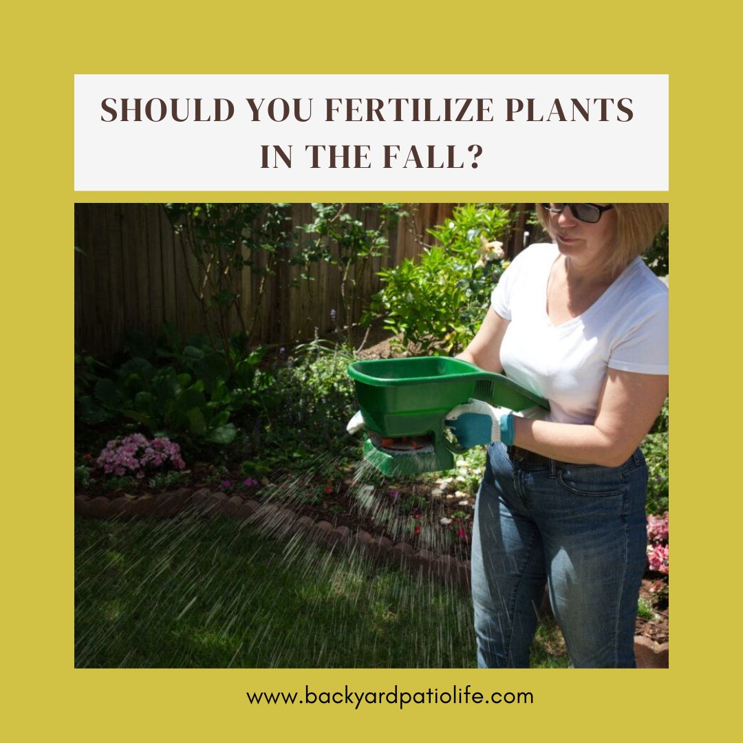 happybackyard's tweet photo. Get ahead of the game and fertilize your plants in the fall! They'll thank you for it come spring.

Click here for the full blog: https://t.co/JXvbPXIapJ

#backyardlife #patio #patiolife #backyardactivities #outdoorlife #backyard #fertilize https://t.co/s3vTGOK6V0