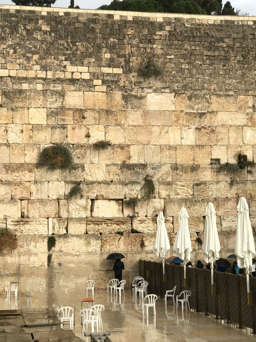 Aharon Cohen (@aharon72) on Twitter photo 