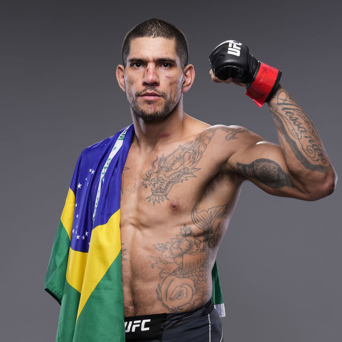 Алекс перейра. Алекс перейра стрикленд. Девушка алекса перейры. Lea stunner sister. Алине перейра.