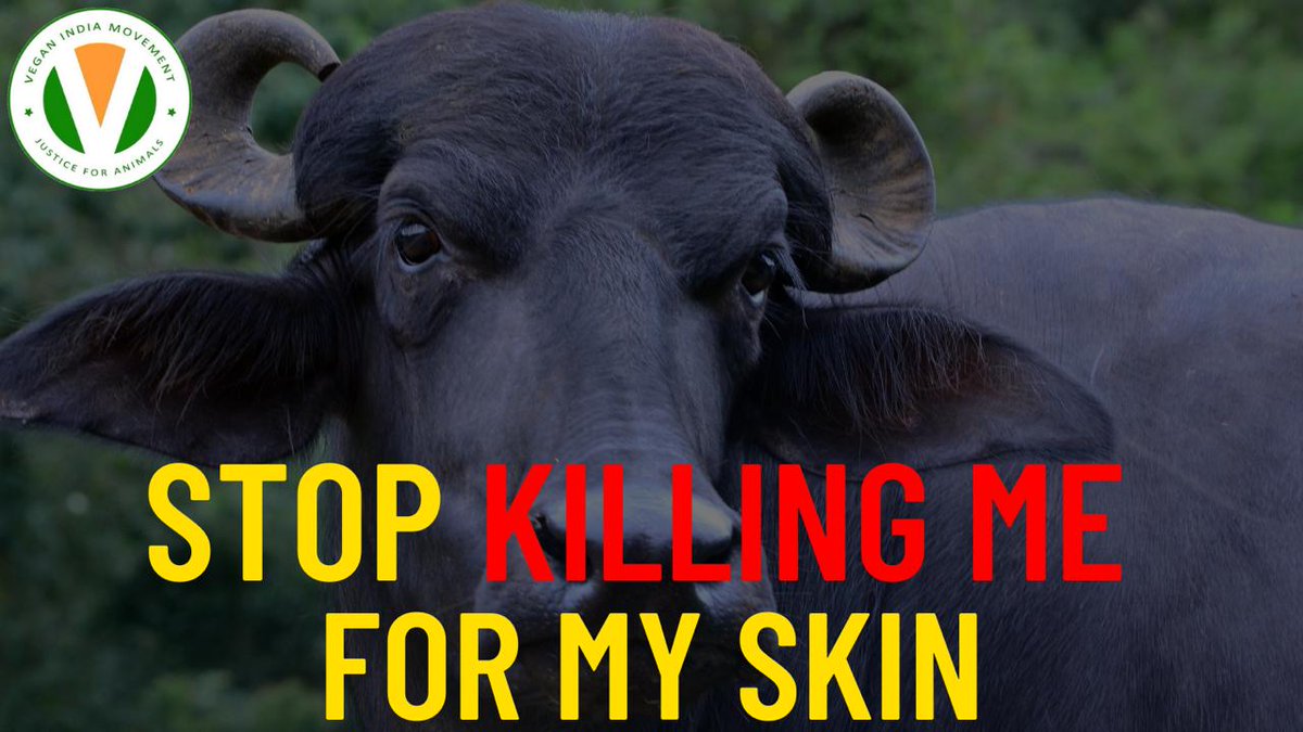 Vegan Nitin Jain tweet media
