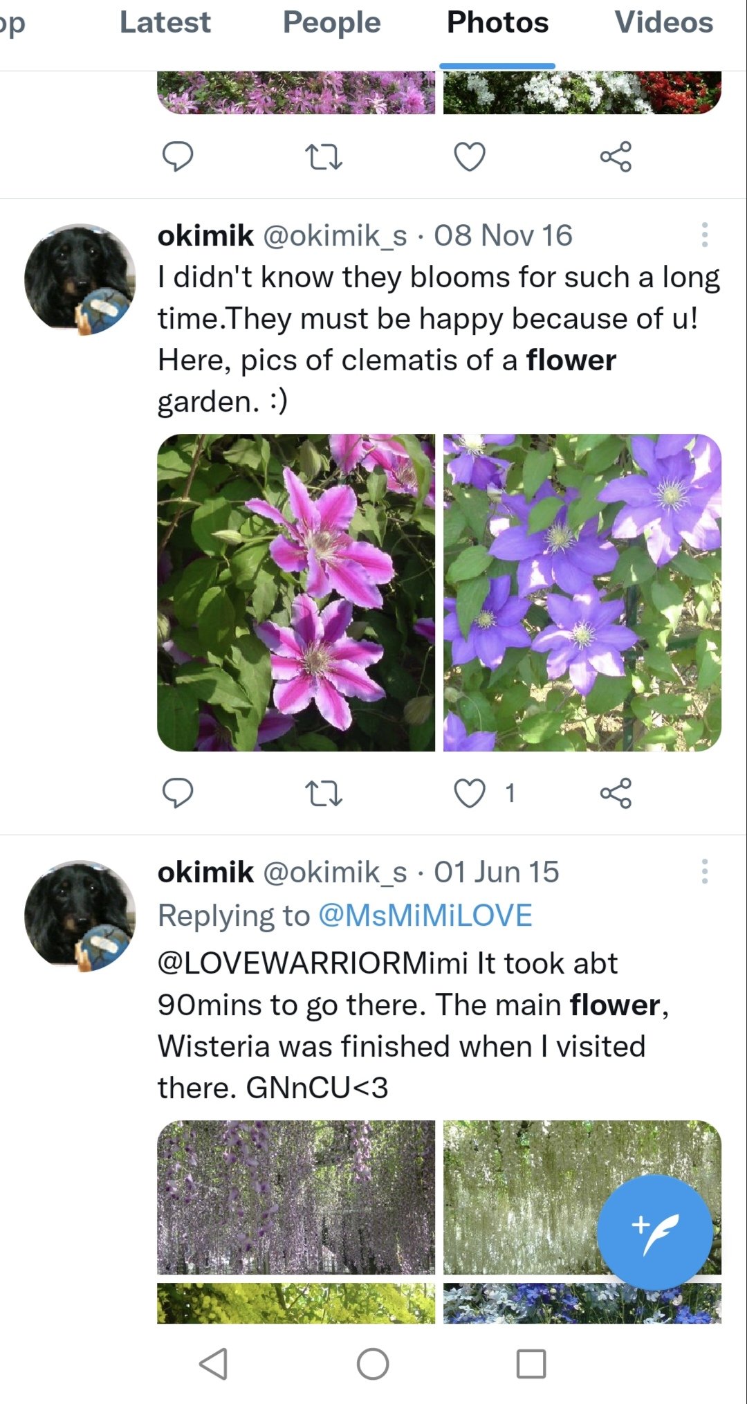 young-fox-on-twitter-okimik-s-y-hanyuofficial-the-blog-owner-and