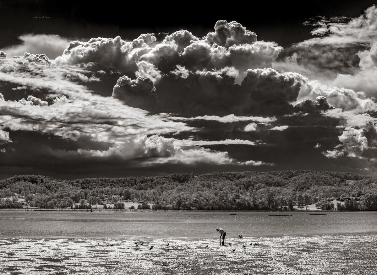 thesilverdory's tweet photo. Pumping for yabbies (part 1) - Narooma, Nov. 2022. Low tide at Wagonga Inlet with a bit of weather building to the west ... (yabbies = nippers) #edgeoflight #NIR #monochrome #spring #storms #coastlife https://t.co/fv80dTPFX0