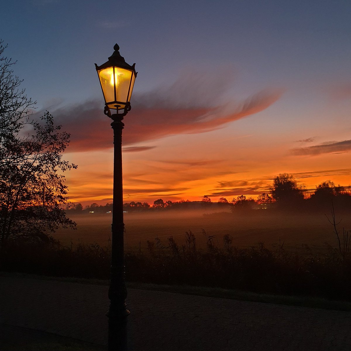 Guten Morgen 🥰 und einen tollen Sonntag 🍃🍂🍁🌻🌹☀️🥰