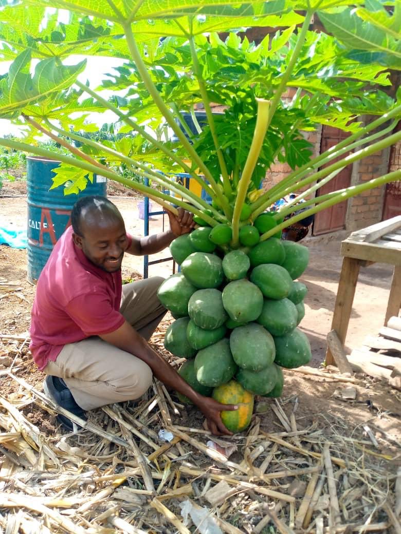 Gisa w'I Rwanda🇷🇼❤️🇷🇼 tweet media