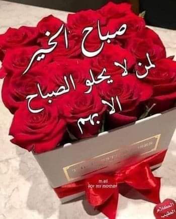 صباح الرواق على قلوبكم 🦋🌺❤❤🦋🦋🌷