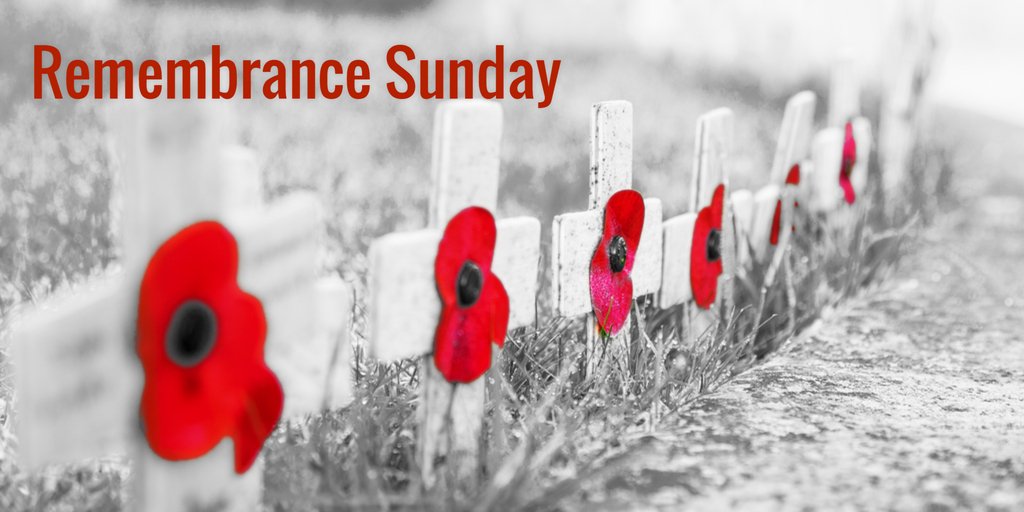 Angie_baby_25's tweet photo. #RemembranceSunday #LestWeForget
#animalswar https://t.co/8qjJ20zCxi