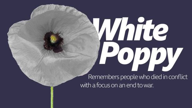 Angie_baby_25's tweet photo. #RemembranceSunday #LestWeForget
#animalswar https://t.co/8qjJ20zCxi