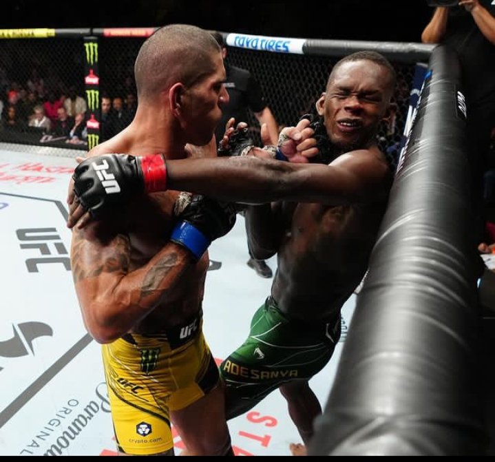 laststylebend11's tweet photo. @stylebender #UFC281 #UFC282 #UFC283 #UFC284 

Hahaha, runnersanya lost! https://t.co/rlekf39chq
