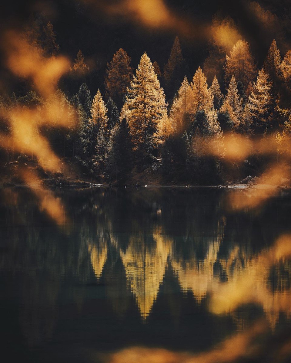 PhotosByMoners's tweet photo. Portrait or landscape? https://t.co/RFn5YJc2FS
