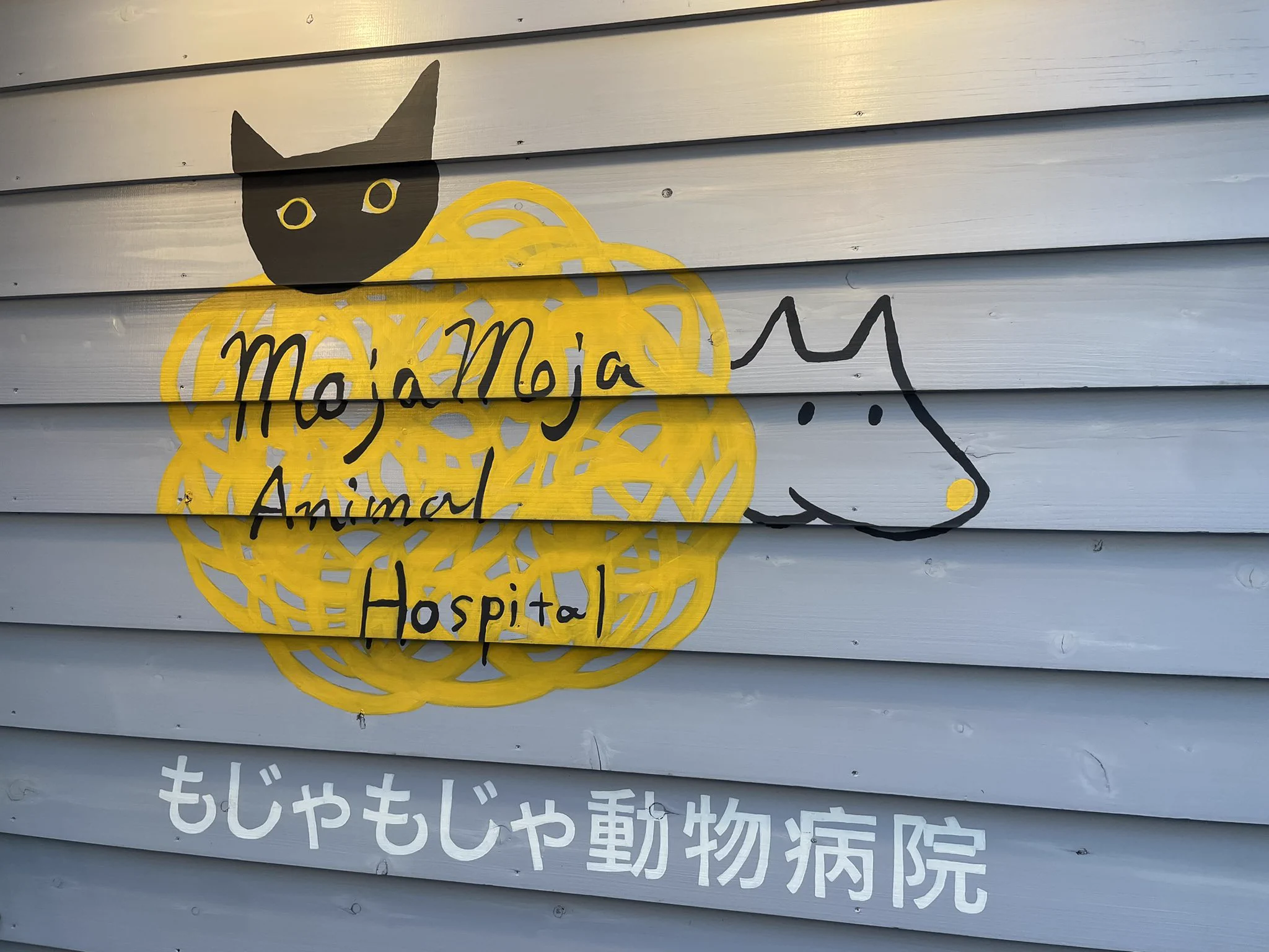 📷 highlandvalley: (via シラカワリュウ⚡️𝙍ᵢᵤ𝙎𝙃𝙄𝙍𝘼𝙆𝘼𝙒𝘼さんはTwitterを使っています: 「名前も絵も最高かよ 」 / Twitter) 