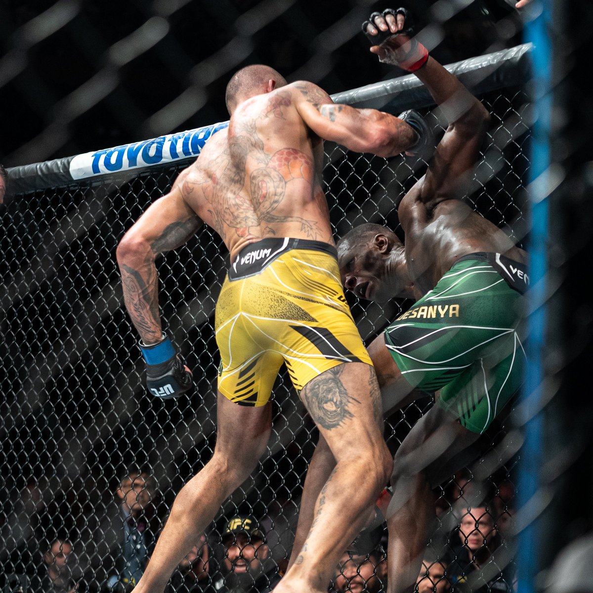 All hail the 𝐍𝐄𝐖 MW king 👑

[ <a href="/AlexPereiraUFC/">Alex "Poatan" Pereira</a> | #UFC281 ]