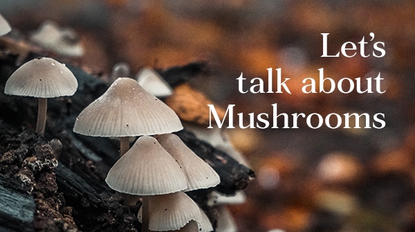 Faithful To Nature tweet media