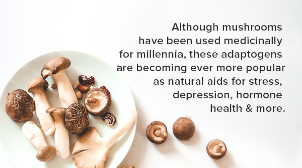 Faithful To Nature tweet media