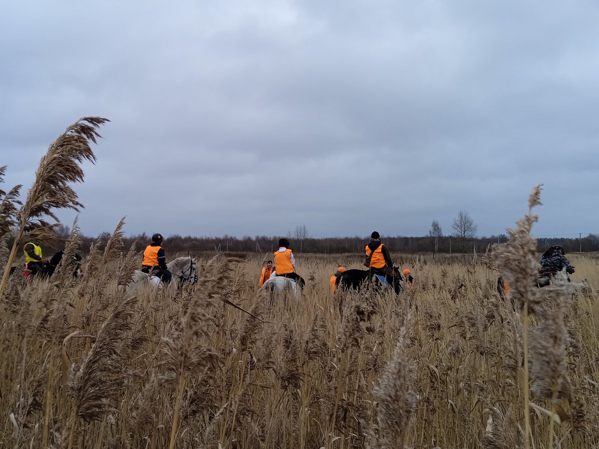 Конные учения в Шатуре