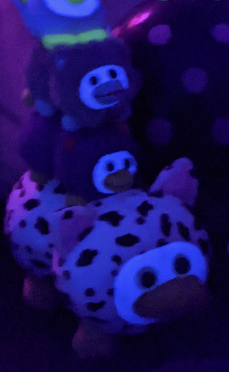 Mustard_IRL's tweet photo. WRIBEY joins the party
(I lost a fight to him) 
#commonmustardL #unfourtionateplay @itemlabel #peepy #growingupirish https://t.co/fgTZcu2ilv