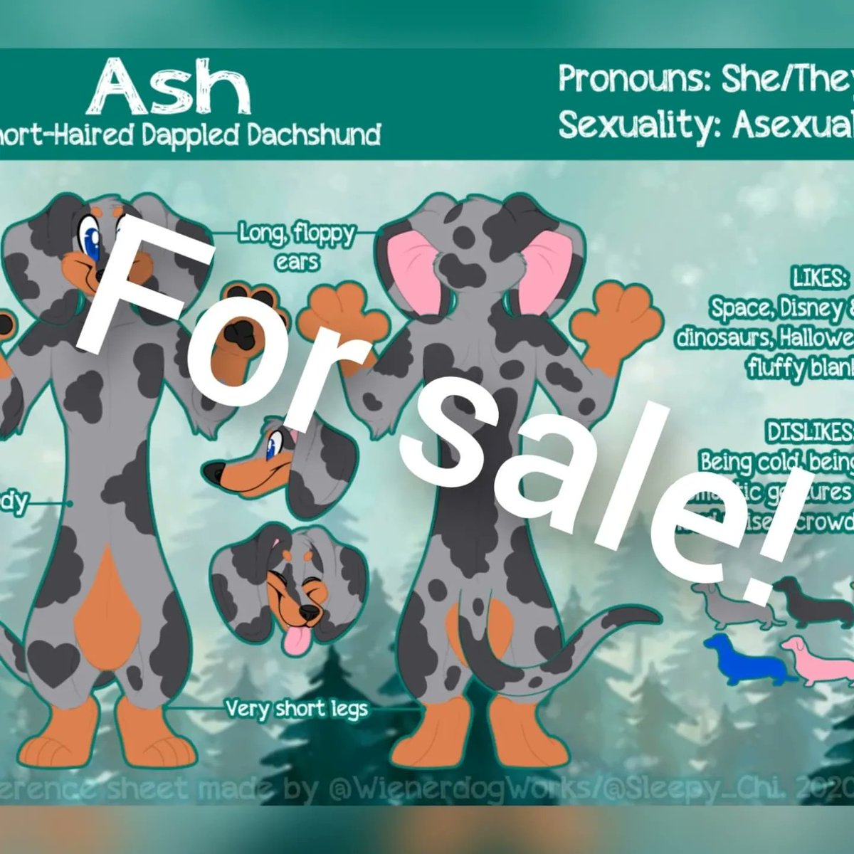 frecklepeachfox's tweet photo. Dapple dachshund partial and character for sale! Need gone asap! 
#fursuitforsale #fursona #furry #furryfandom #fursuitforsaleUK #fursuitpartial #fursuit https://t.co/zN7ZfNWhUm