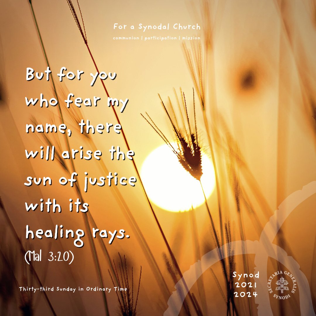 As we mark #WorldDayofthePoor, we are invited to #walktogether with our brothers and sisters on the margins and discover how we can “reflect on our style of life and on the many forms of poverty all around us.” bit.ly/3EtKhDQ #Syodality #ListeningChurch