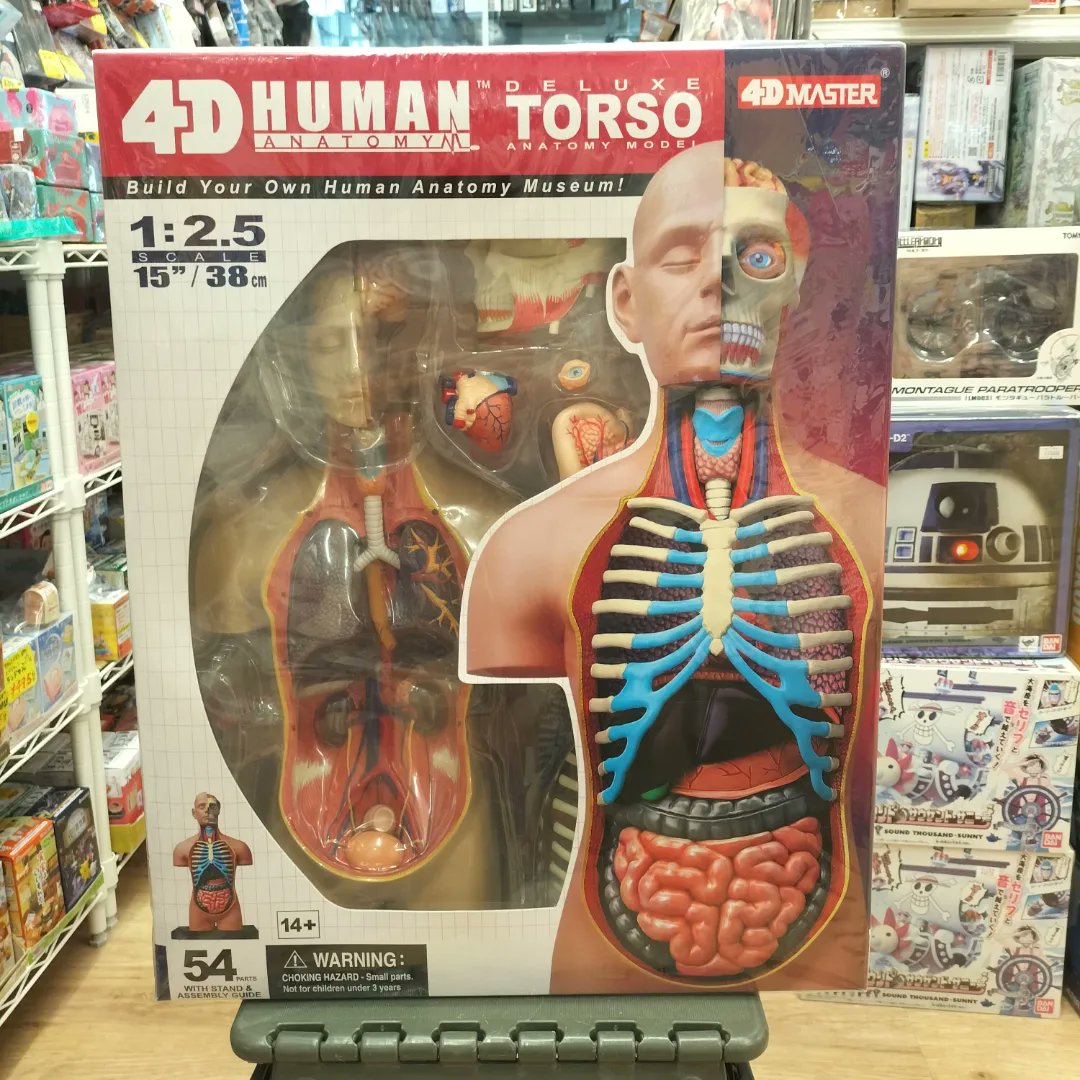 Toyskameta's tweet photo. 【閲覧注意(?)】
グロカワー
…じゃなくて真面目な商品です!!
4D VISION 人体解剖モデル スーパーデラックス 胴体解剖モデル
パズル感覚で人体の内部構造を学ぶことが出来る教材ともなります。
医学部の学生さんにオススメです!
レア物1点のみの在庫です
急げ!!
#人体模型
#4dmaster
#人体解剖モデル https://t.co/LudKdBSVBt