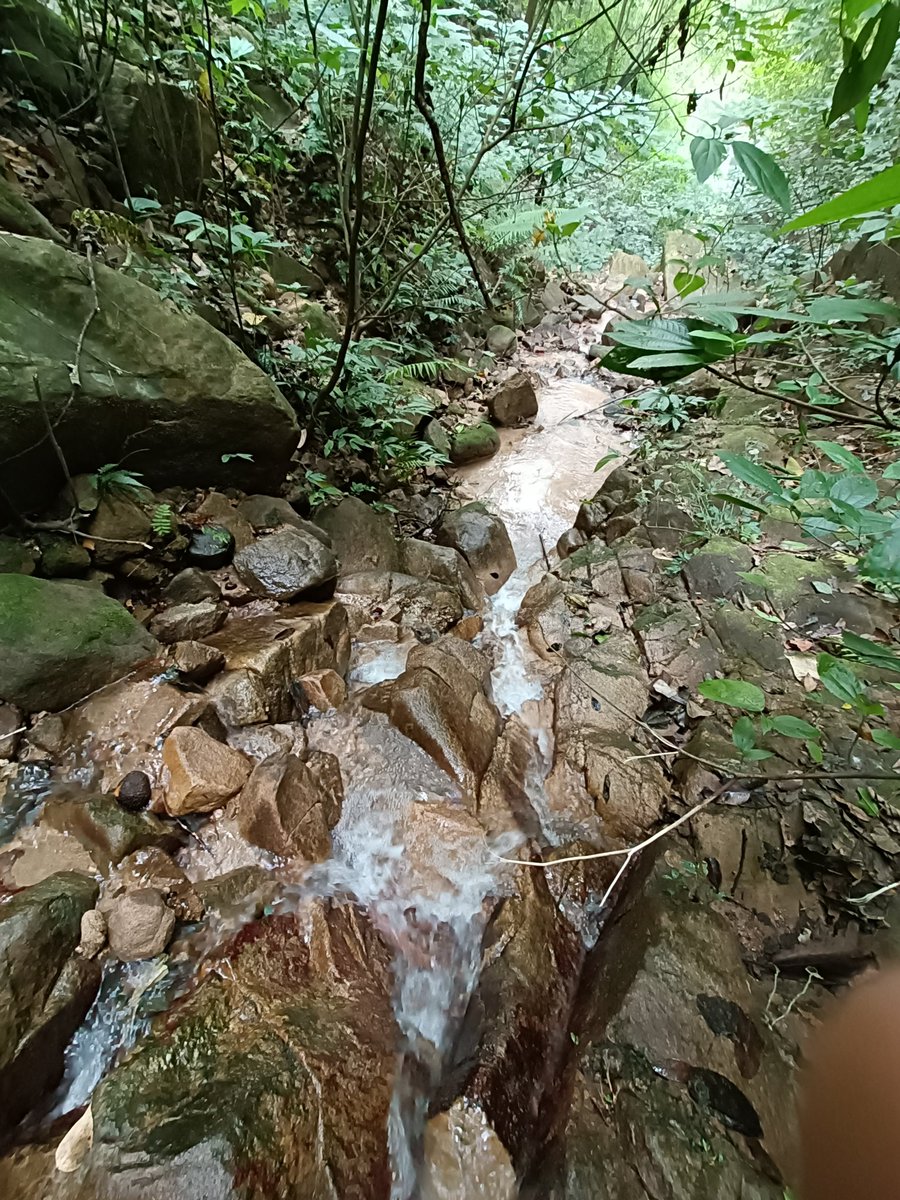 ScoutToday's tweet photo. Brook https://t.co/Bh5nPIWIpo