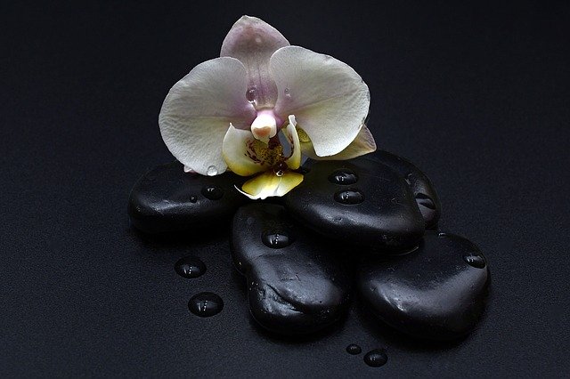 emf_protect's tweet photo. Ways We Could Use Shungite Stone for EMF Protection
Shungite and EMF protection work hand-in-hand.

Everyone is exposed to the electromagnetic field or EMF that is naturally emitted by the different atmosphere in the environment.

https://t.co/2Qe0GEc8Et https://t.co/jcznTLggqV