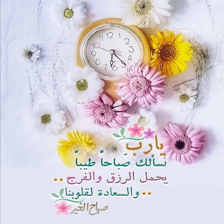ما اجمل صباحات الهدوء وما اروع صباحات السكون وما انقى صباحات الجمال اللهم اجعل ايامنا وايامهم كلها جميله هي الصباحات التي تبدا بذكر الله قلب مطمئن ونفس راضيه