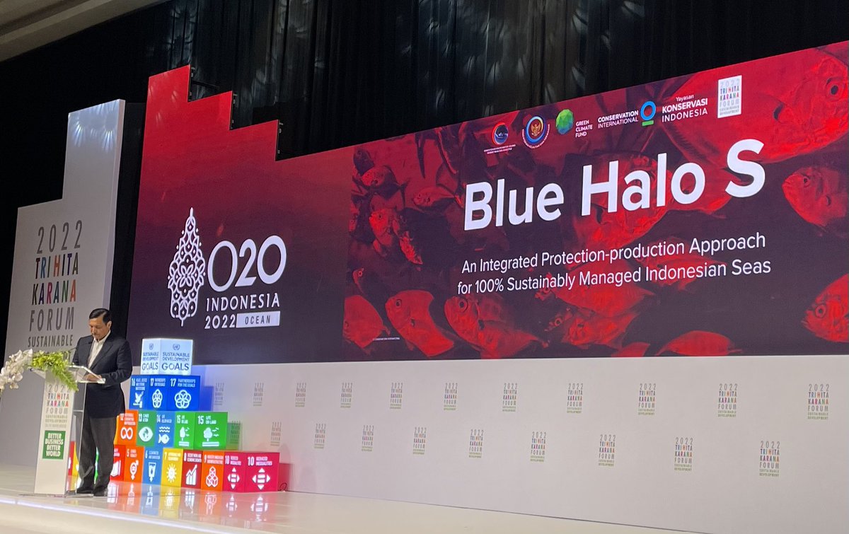 So proud that <a href="/ConservationOrg/">Conservation Intl</a> and <a href="/KonservasiID/">Konservasi Indonesia</a> are helping to bring the #BlueHaloS to life in Indonesia. Together with <a href="/indonesiangov/">Indonesian Government</a> and <a href="/theGCF/">Green Climate Fund</a> this is a new blended finance solution to bring ocean conservation and fisheries management together. #thkforum2022