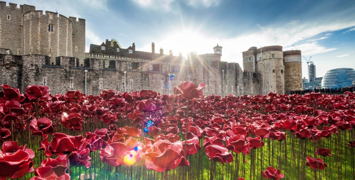 We will remember them. 

📍 Blood Swept Lands and Seas of Red, 2014

#RemembranceSunday