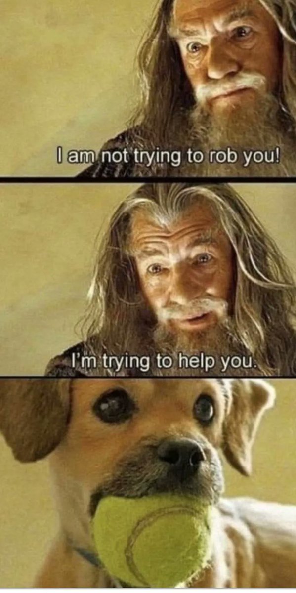 BILBO BAGGINS!! redd.it/ytuqev
