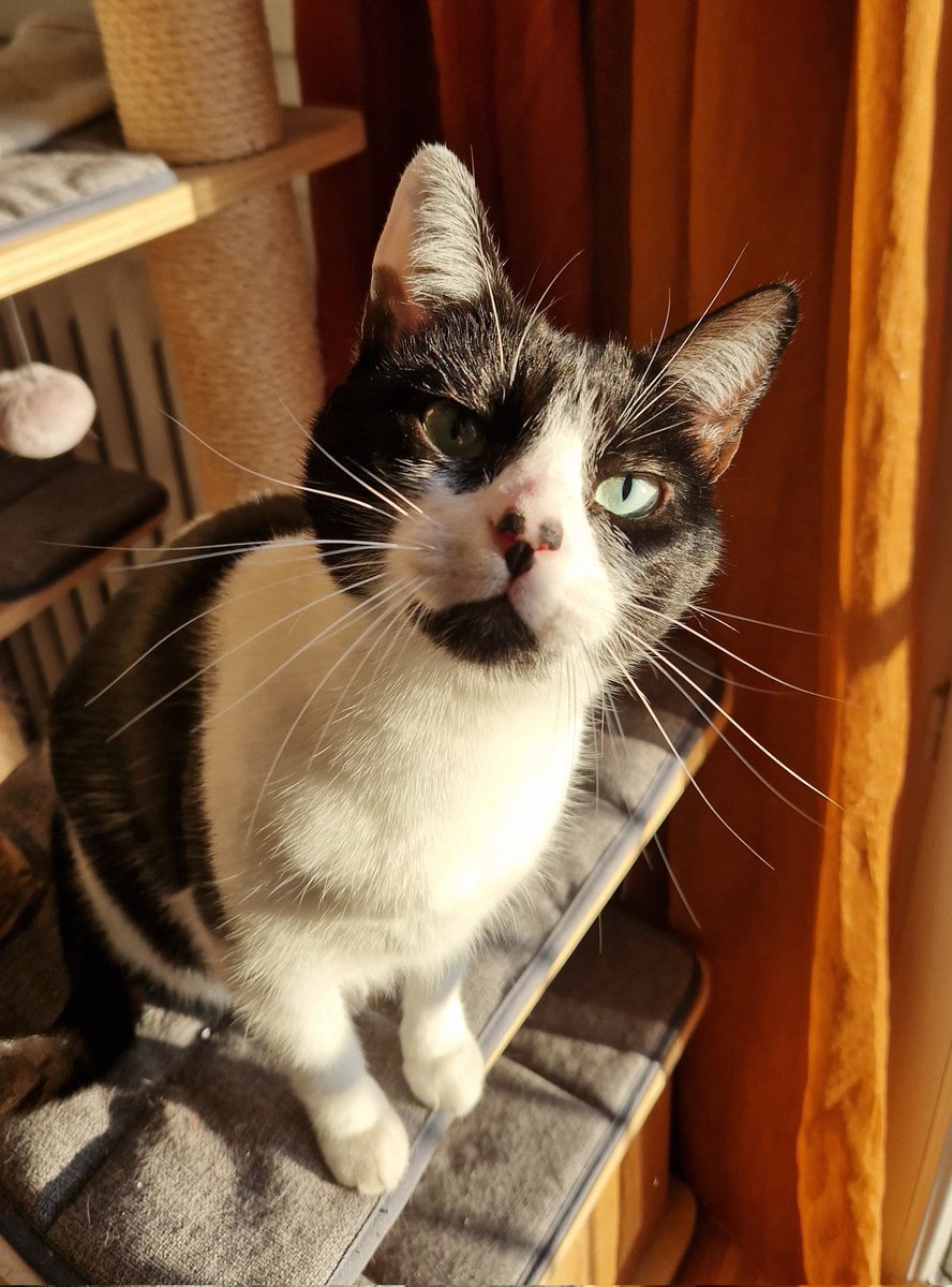 DobbyCoeur's tweet photo. Tu rends mon joujou!!! https://t.co/e0mkazQ3qI