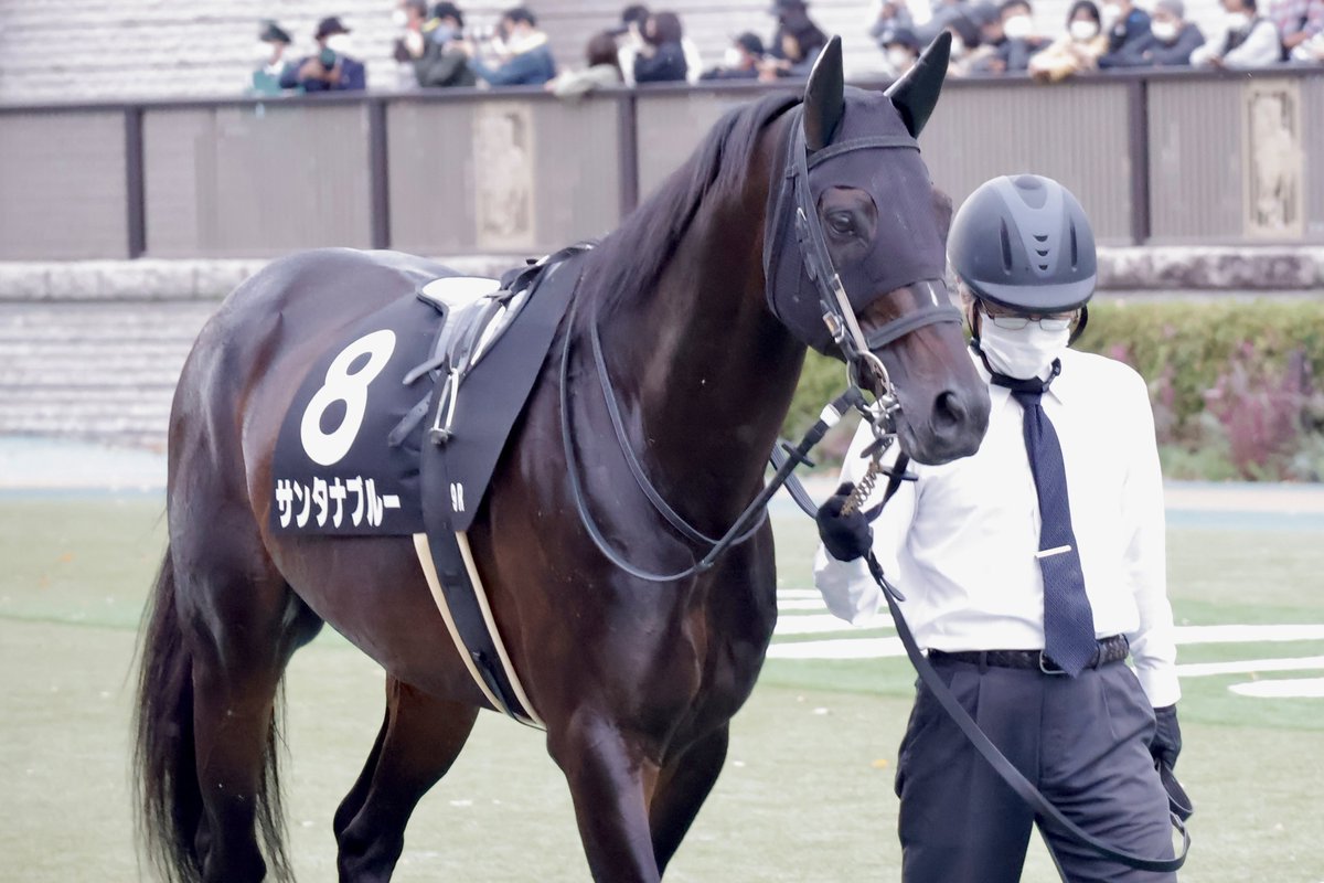 そか、今日で引退だったんですね💦
ラーメン食べてて時間なかったですが撮れて良かったです☺️
お疲れ様でした🙇♂️
#YGGオーナーズクラブ
#サンタナブルー
#大塚海渡 騎手