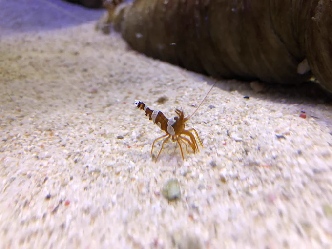 水族館いてきた!!!! 