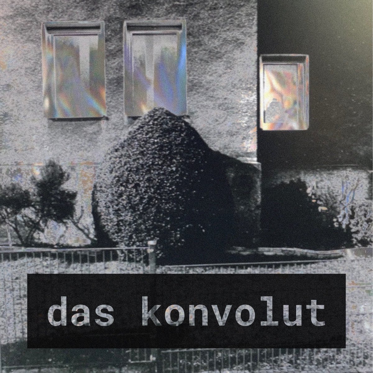 Luca Korthals tweet media