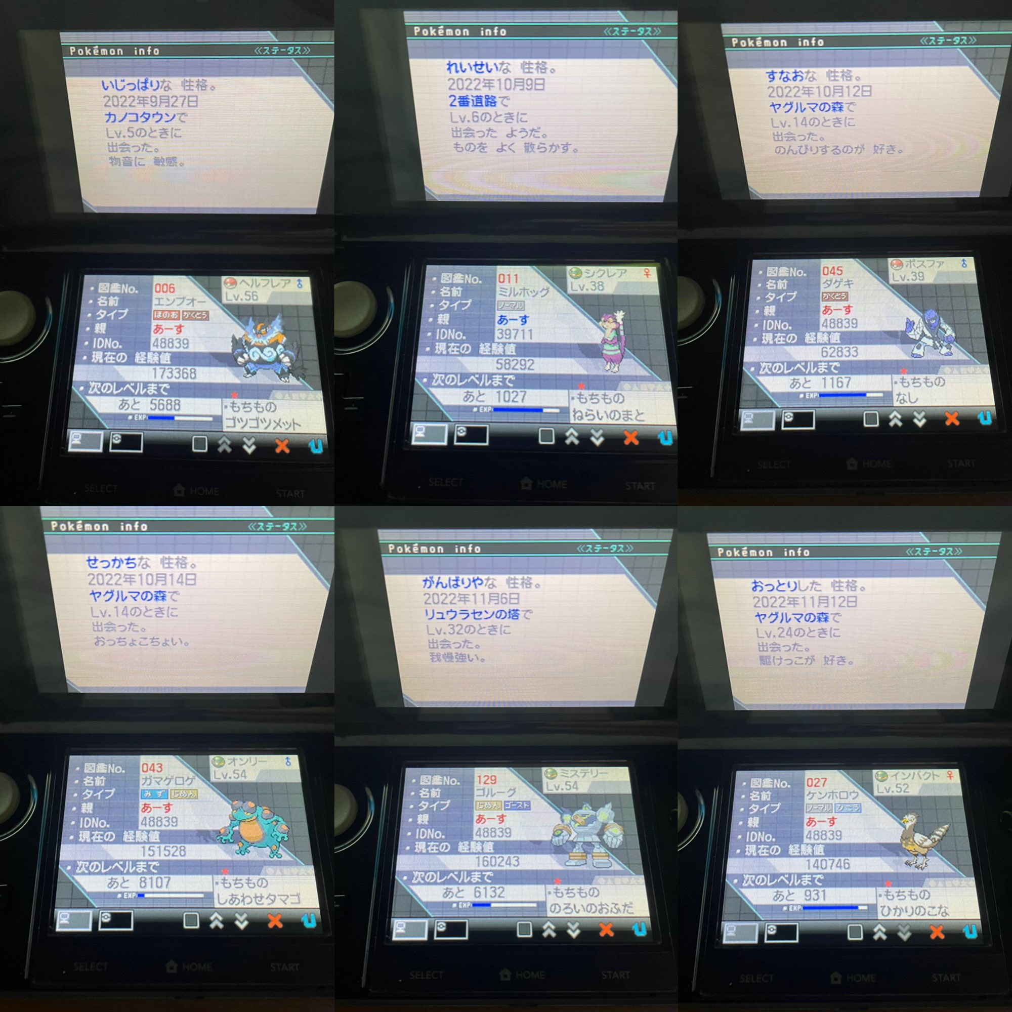 ˏˋksyta ˎ Shkouta Twitter