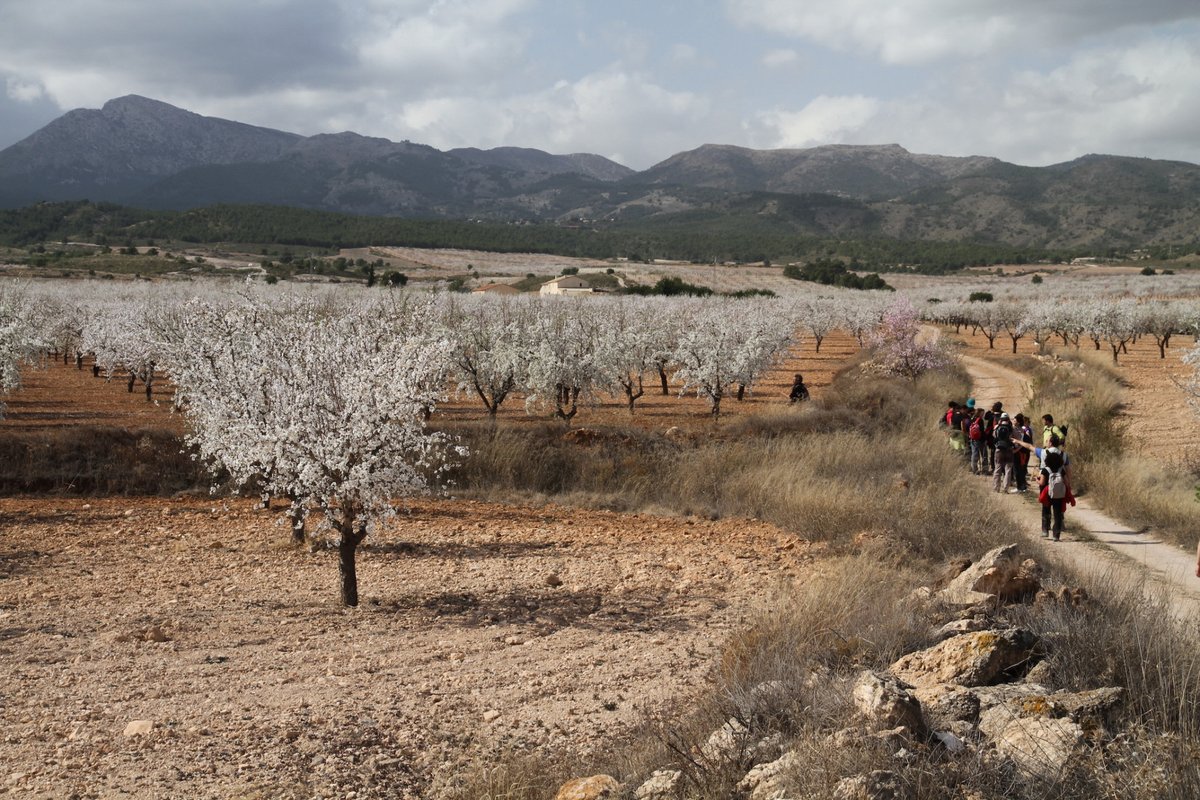 The #SierraEspuña is known as the “Mountain of the Sun”, 😎 as it is sunny most of the year. This makes the park a perfect place for #ecotourism experiences 🍃 all year round.

bit.ly/3DWcx0p 👈

#YouDeserveSpain #VisitSpain #RegionOfMurcia #Murcia <a href="/SoyEcoturista/">Soy Ecoturista</a>