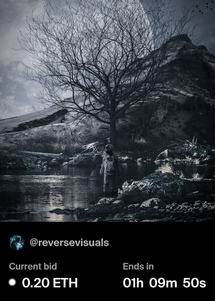 reverse_visuals's tweet photo. The auction for "ODYSSΞY //" is almost over!

LAST HOUR LEFT 
Current bid 0.2 Ξ

🔗⬇️ https://t.co/beuAygi3Hd