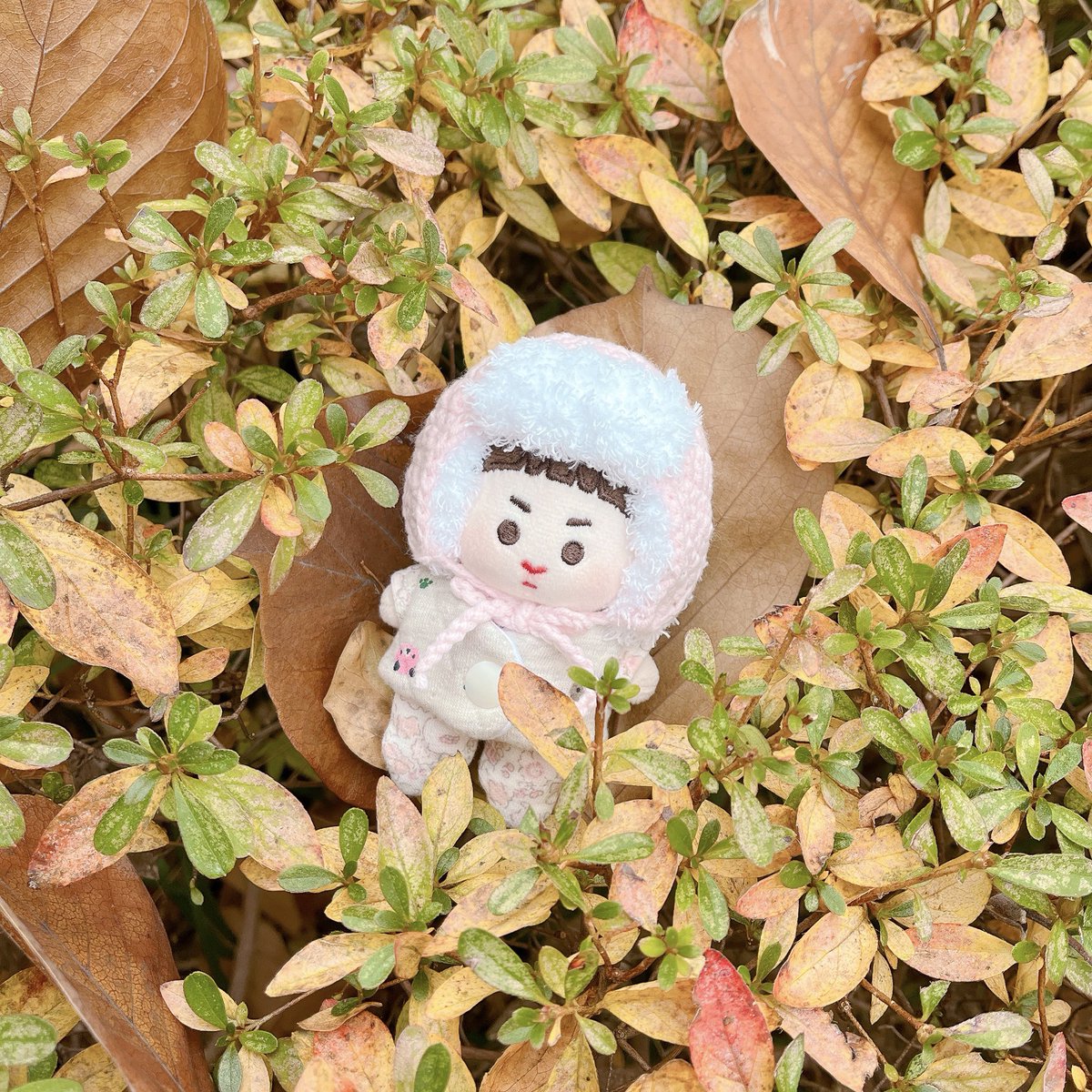 쪼꼬 옷 입기 귀찮아서 우주복에 신발 신구 나갔다 온건 안비밀🙈

#투베베 #초코셍이