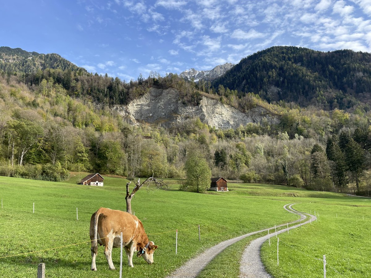 BeautyOfLI's tweet photo. Triesen, Liechtenstein. https://t.co/tcj1g3meRg