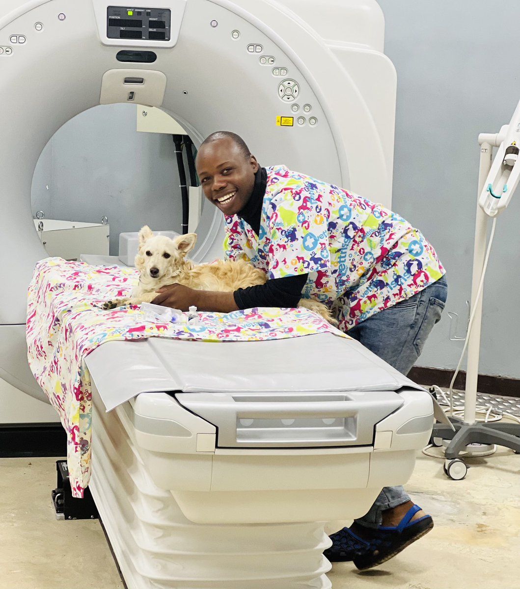 ALL of Zimbabwe’s public hospitals don’t have a working MRI Scan except Harare Hospital which has an old one without a radiologist, so there is no service. Meet a Zimbabwean animal doctor working in Zambia showing us that in Zambia they have these machines even for animals.