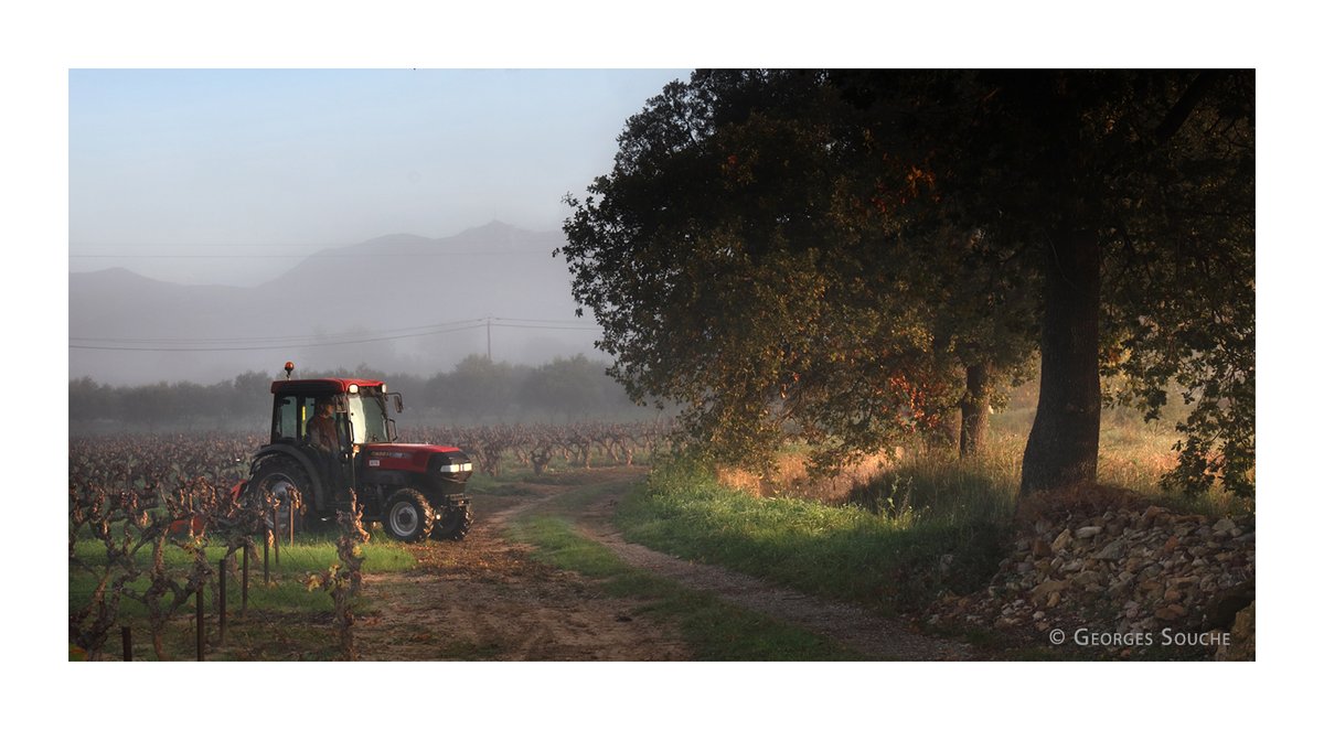 Saint-Guiraud, Terrasses du Larzac, 12 novembre

2022 © Georges Souche
<a href="/AOCTerrLarzac/">AOP Terrasses du Larzac</a> @AOCLanguedoc