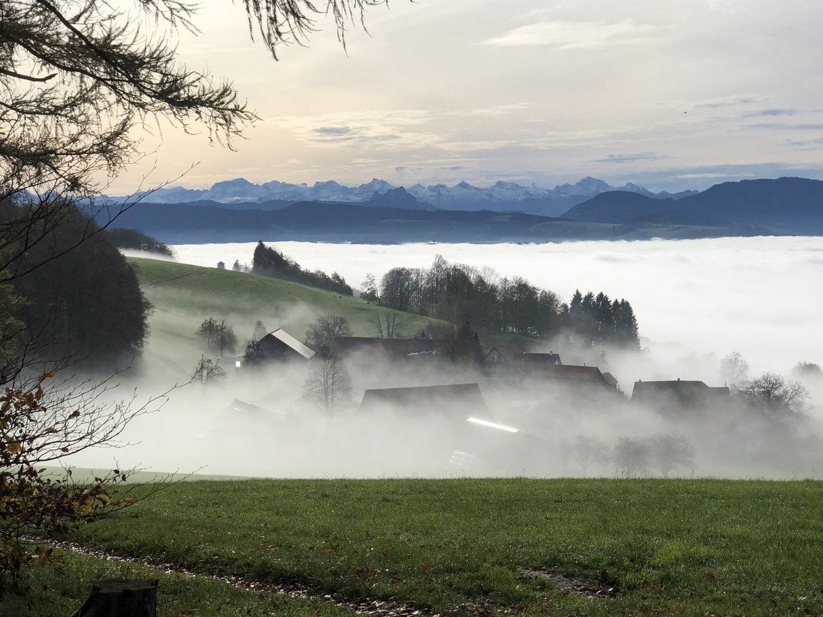 RSerrem's tweet photo. Gestern Nebelmeer auf dem Oberalbis https://t.co/oC83ELvy2K