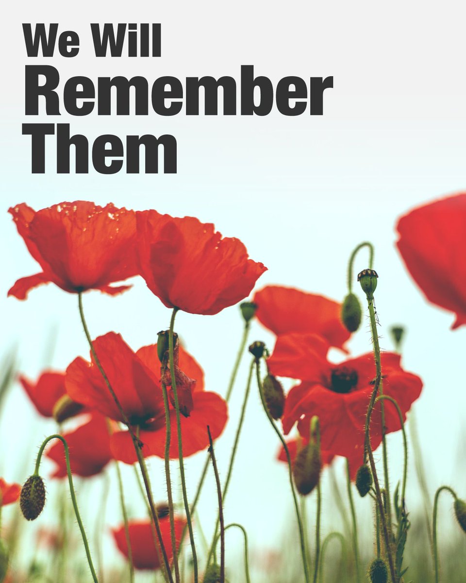 reformparty_uk's tweet image. They shall grow not old, as we that are left grow old:
Age shall not weary them, nor the years condemn.
At the going down of the sun and in the morning,
We will remember them.

#RemembranceSunday #WeWillRememberThem