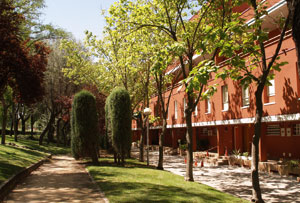 Foto cedida por Ayuntamiento de Rivas 