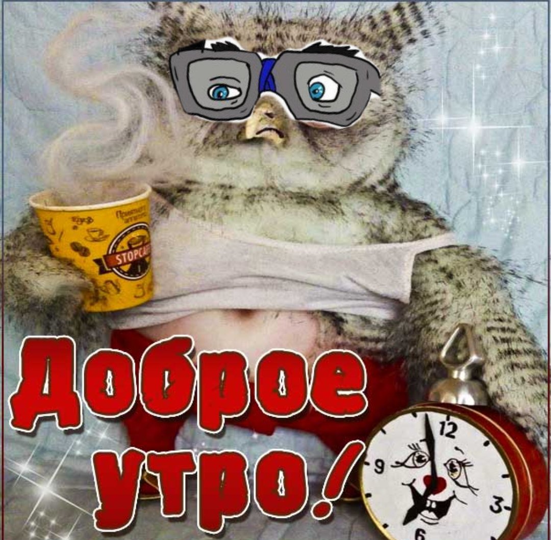 Открытки с добрым утром с совятами